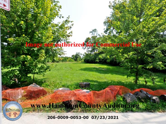 Photo 07/23/2021